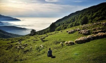 آخرین فرصت سفر به دیلمان را از دست ندهید!