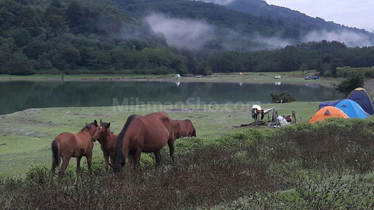 دریاچه لفور