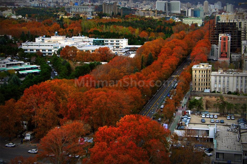 میهمان شو