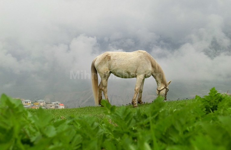 تصویری زیبا از شمال ایران