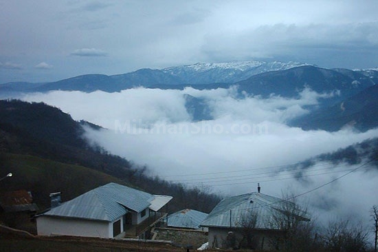 جنگل سیاه رودبار - میهمان شو