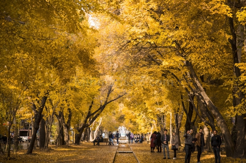 خیابان چهار باغ اصفهان - میهمان شو