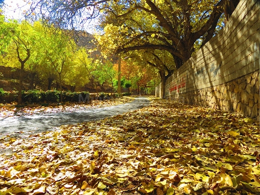 شهمیرزاد