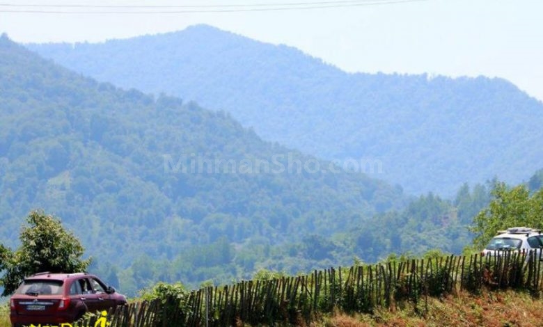 تابستان نشین - میهمان شو