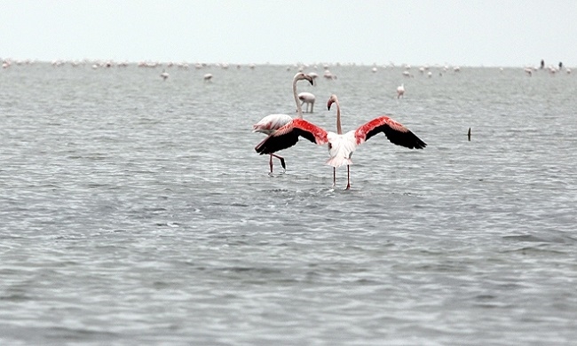 سفر به بندر ترکمن