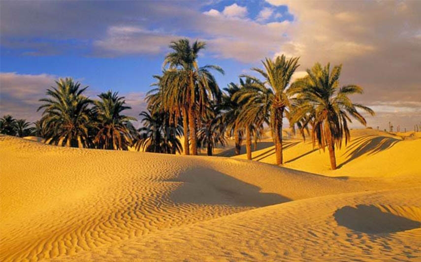 طبس کجاست