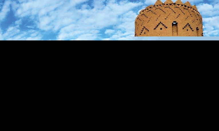 نارین قلعه میبد یزد