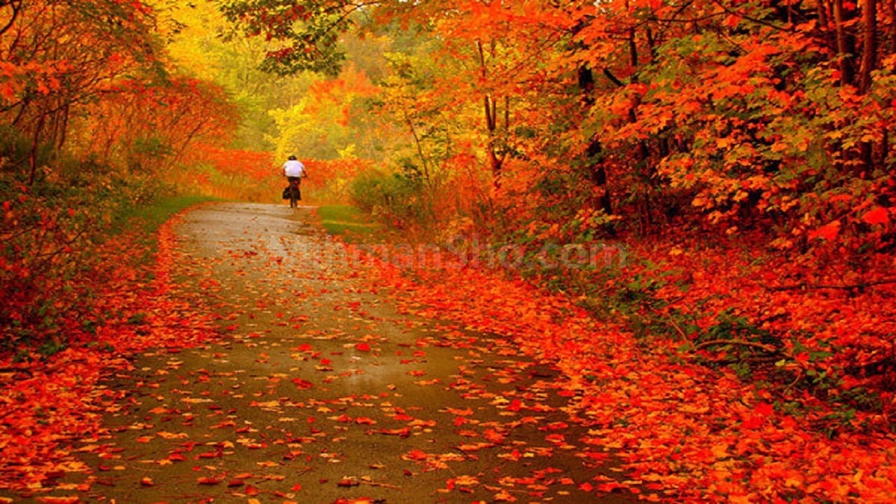 گرگان در پاییز