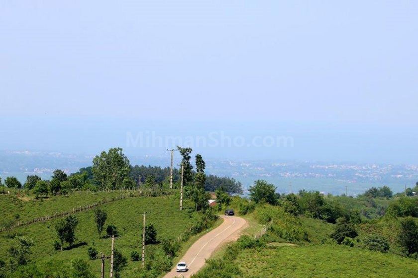 تابستان نشین - میهمان شو