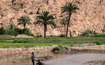 جاذبه های ازمیغان در شهر طبس-مجله گردشگری میهمان شو