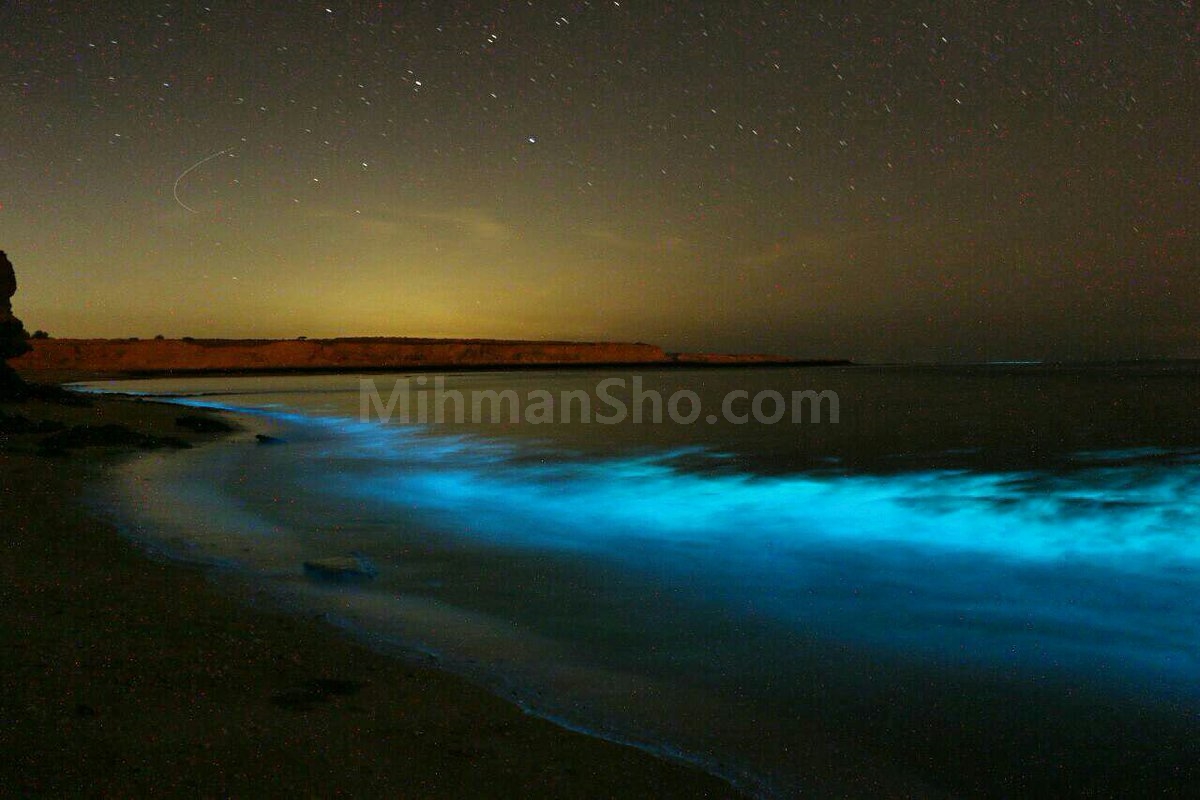 چابهار - میهمان شو