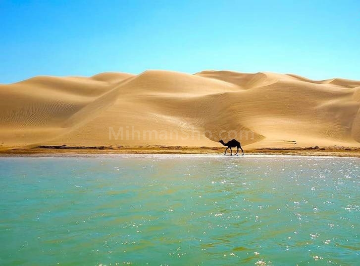 سواحل چابهار - میهمان شو