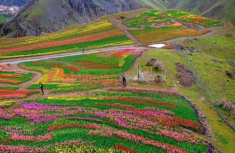 روستای کندر - میهمان شو